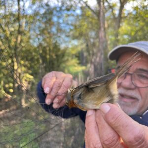 ricercatore COT che tiene un mano un uccello