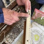 ricercatori miusrano dimensioni uccellino