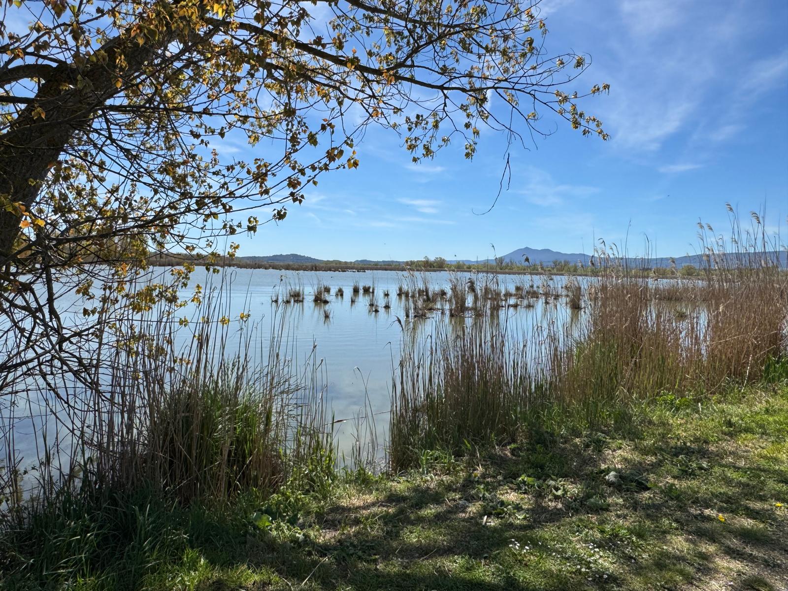 “Il lago e i suoi ambienti” corso di formazione per insegnanti e appassionati sugli habitat del Lago di Montepulciano